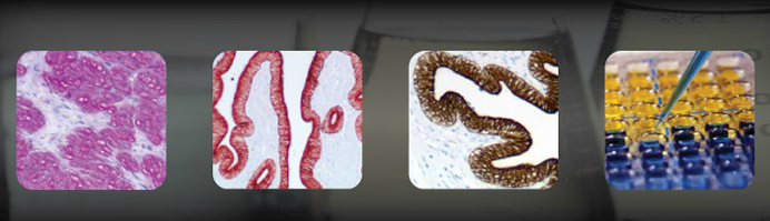 ScyTek_2025年ScyTek代理商