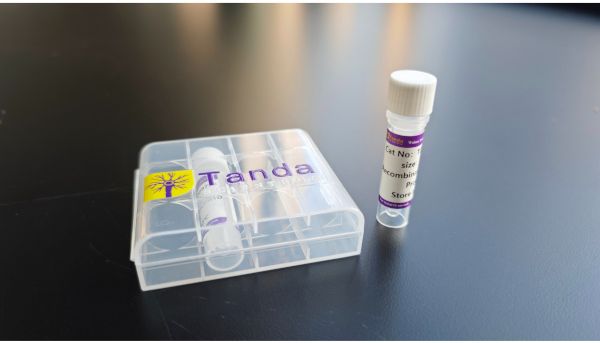 斑马鱼 Ddx4 兔多抗 — 488