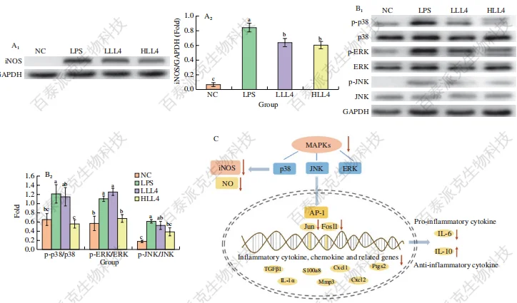 peptidomics-gx-14