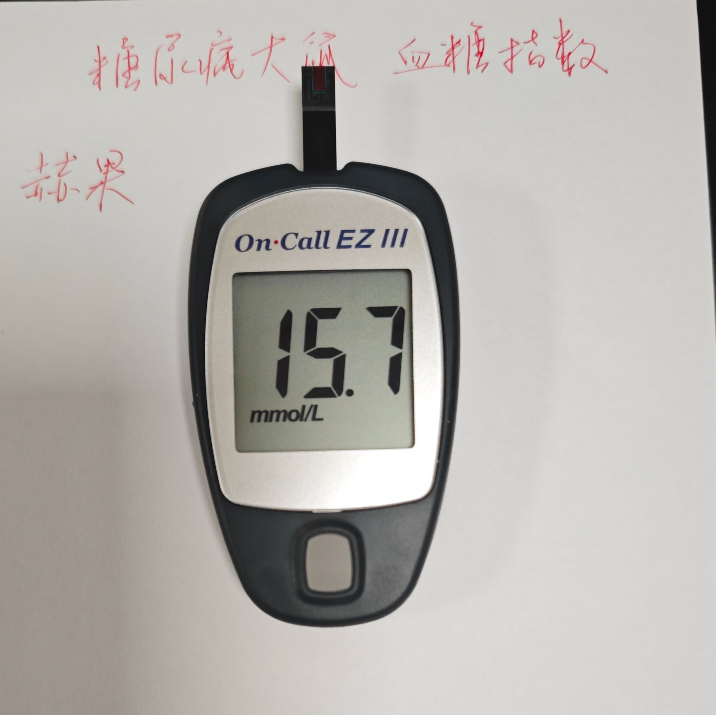 糖尿病模型