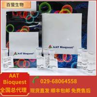 iFluor 532琥珀酰亚胺酯  货号71025