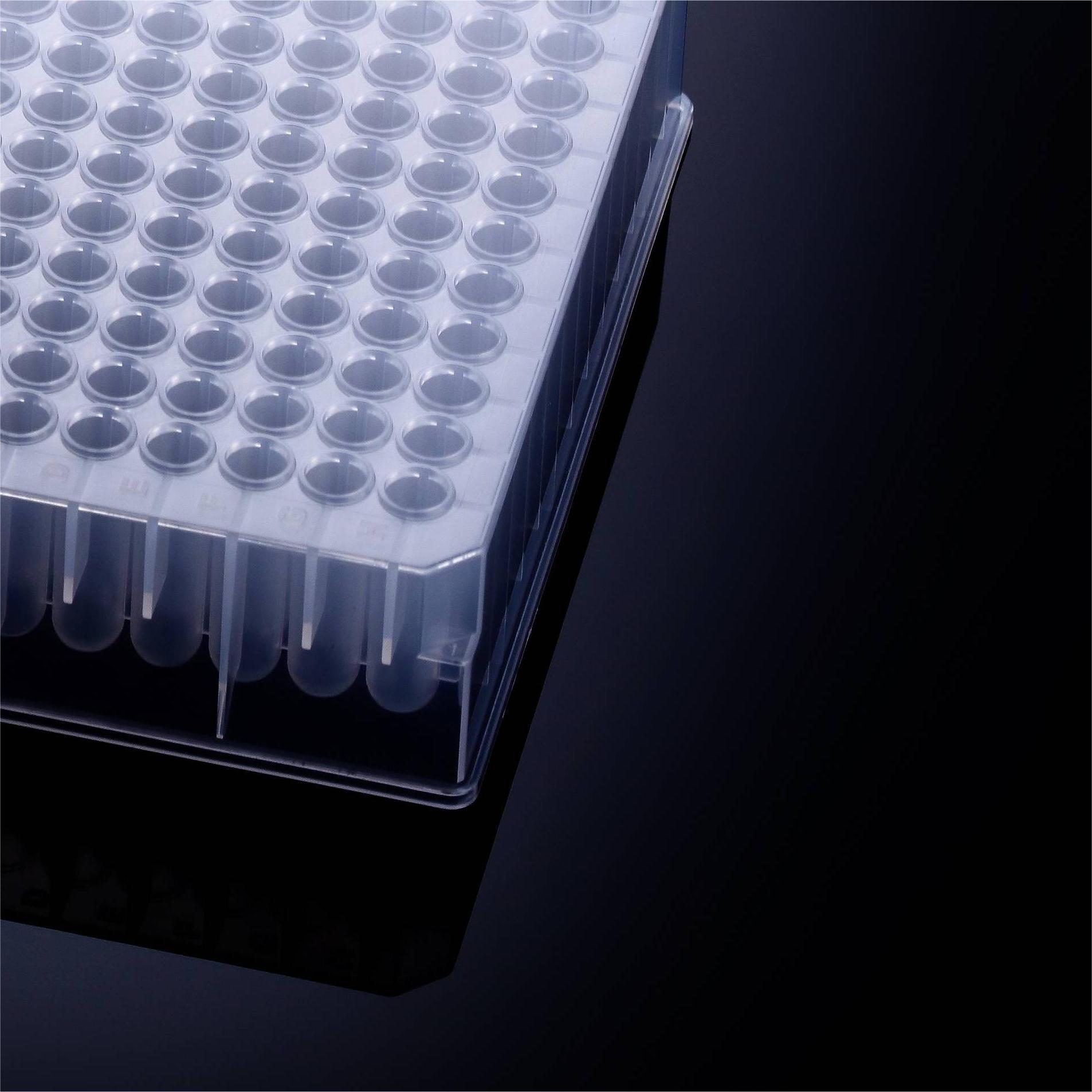 1721372479639395.jpg 1721372479639395.jpg