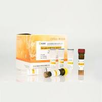 StarLighter模板示踪高性能染料法qPCR预混液