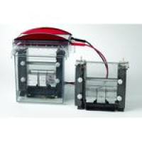 miniVE 垂直电泳系统