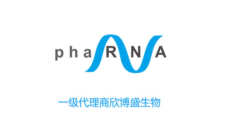 PhaRNA公司_2025年PhaRNA代理商