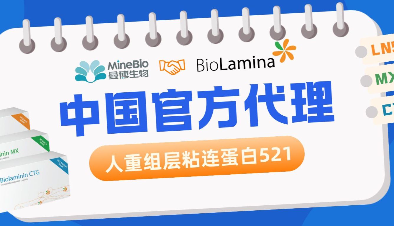 【产品上新】曼博生物代理瑞典BioLamina人重组层粘连蛋白LN521及全线产品