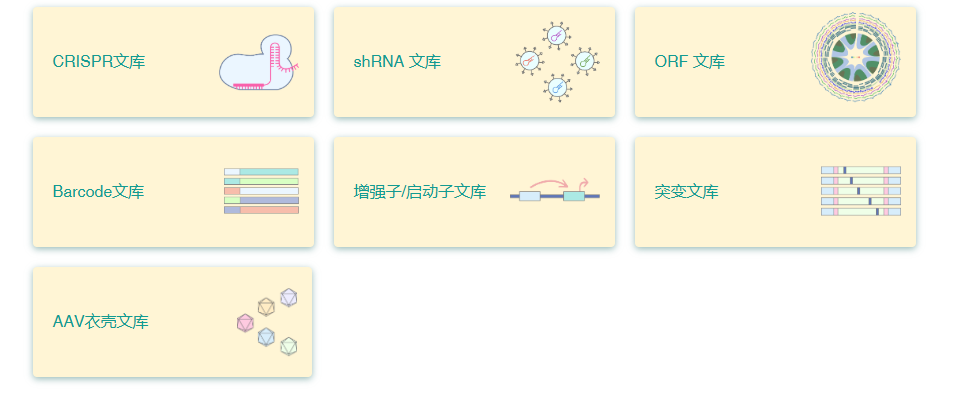 文库构建/基因高效筛选/过表达敲低敲除一站式服务