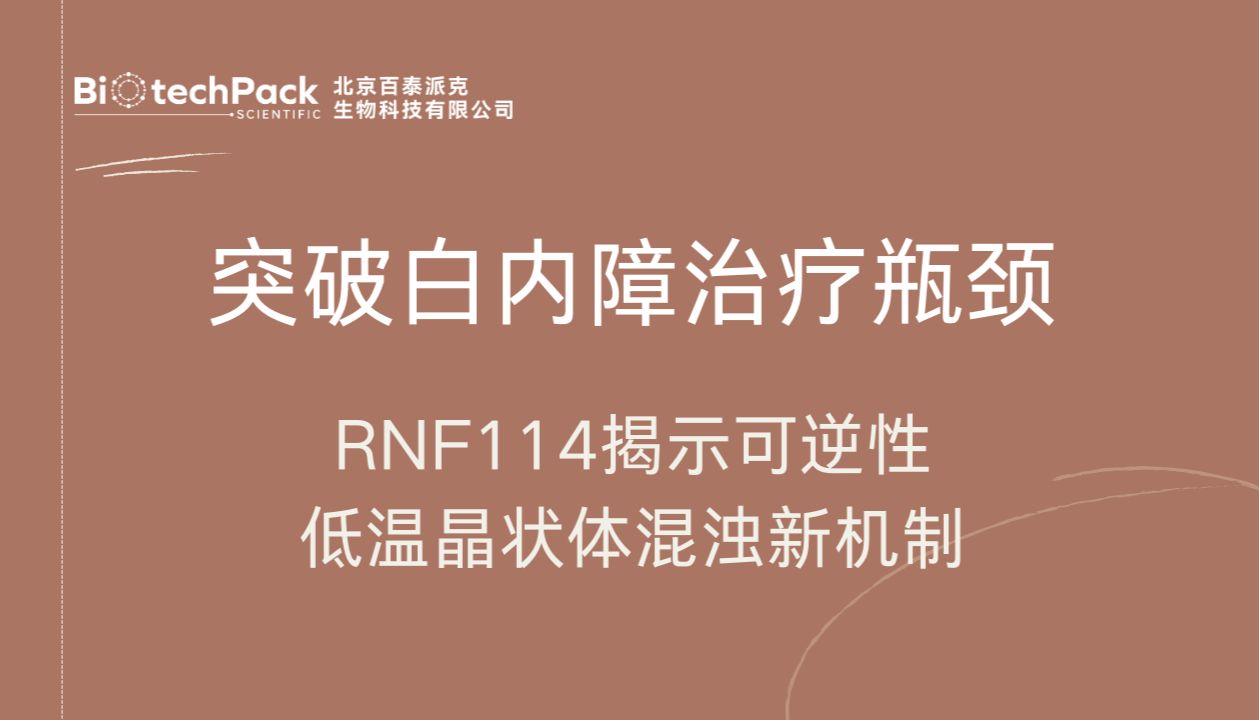突破白内障治疗瓶颈：RNF114揭示可逆性低温晶状体混浊新机制