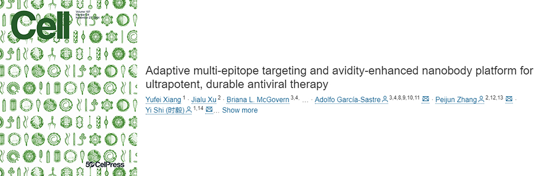 11月文献战报Bioss抗体新增高分文献精彩呈现
