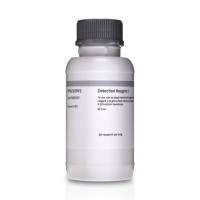 Amersham ECL 蛋白质印迹检测试剂盒