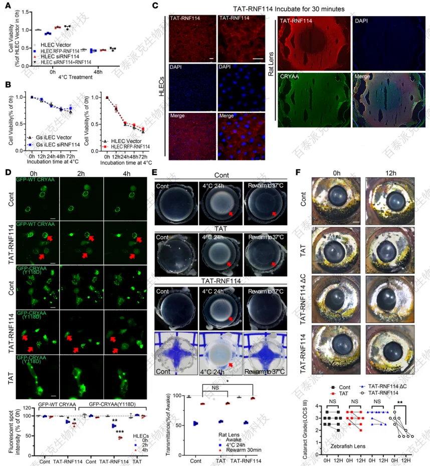 proteomics-service-gx1-5