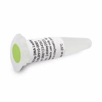 FS-SLR910-0001安捷伦100–1000 bp DNA分子量标准品1mL Agilent