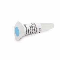 DN-400-0001安捷伦寡核苷酸验证标准溶液10x Agilent