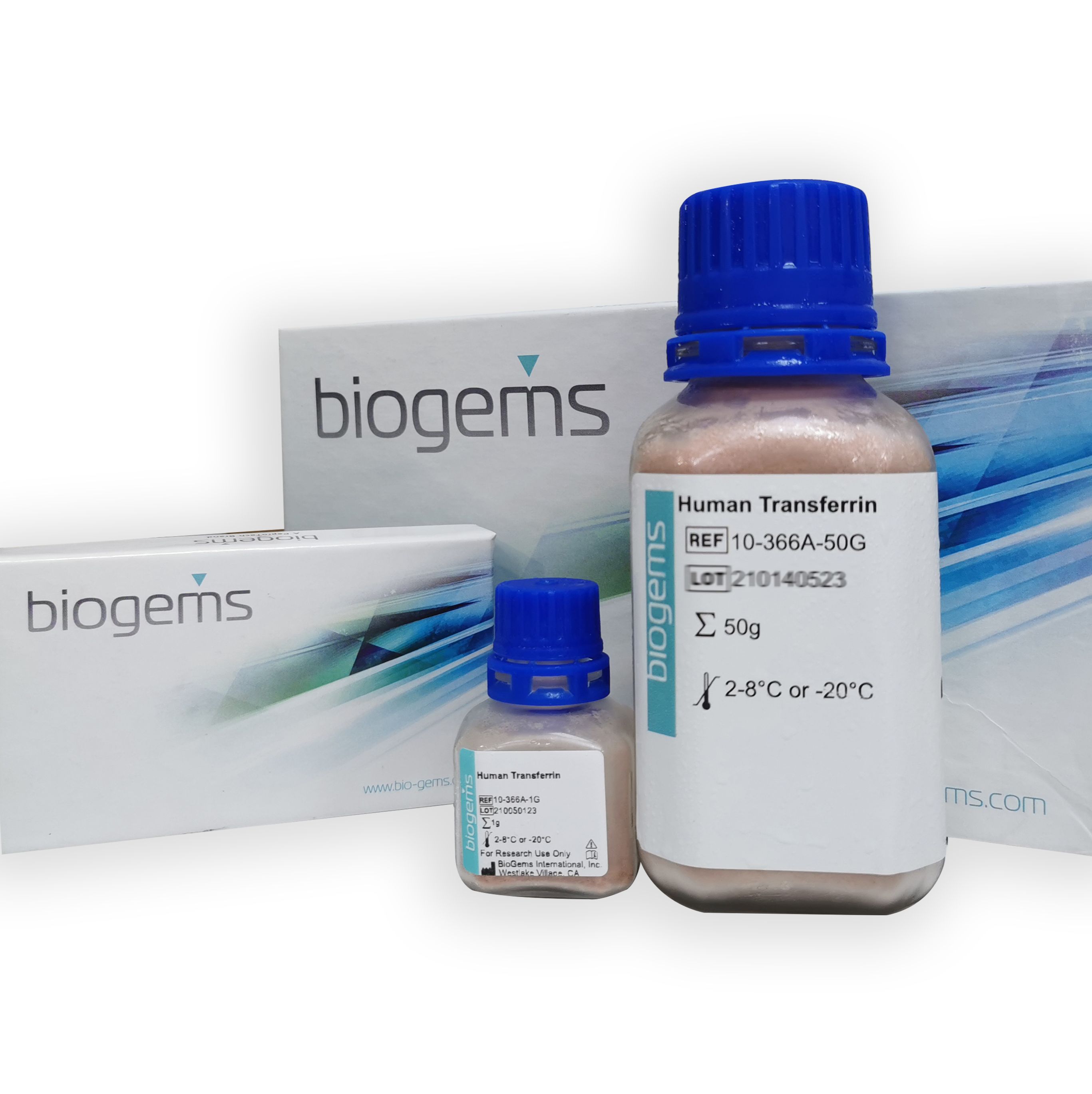 BioGems Recombinant Human Transferrin 酵母表达 (1gm)