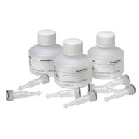 Ab 缓冲液试剂盒