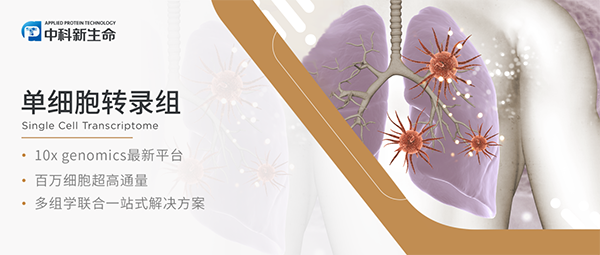 STTT | 甲流后警惕肺炎！首都儿科研究所王毅等揭秘单细胞组学下细菌性肺炎的免疫全景