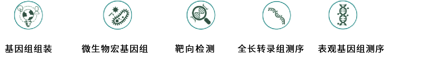 新手必看！Nanopore 与 Pacbio，三代测序技术解析入门指南！