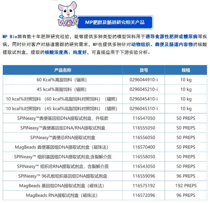 【文献解读】B. vulgatus通过调节小鼠肠道血清素合成和脂质吸收来改善高脂肪饮食诱导的肥胖