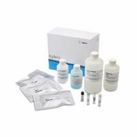 5191-6640安捷伦宽范围蛋白质P240试剂盒275个样品Agilent