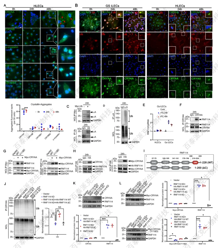 proteomics-service-gx1-4