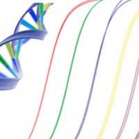 实时荧光定量PCR检测