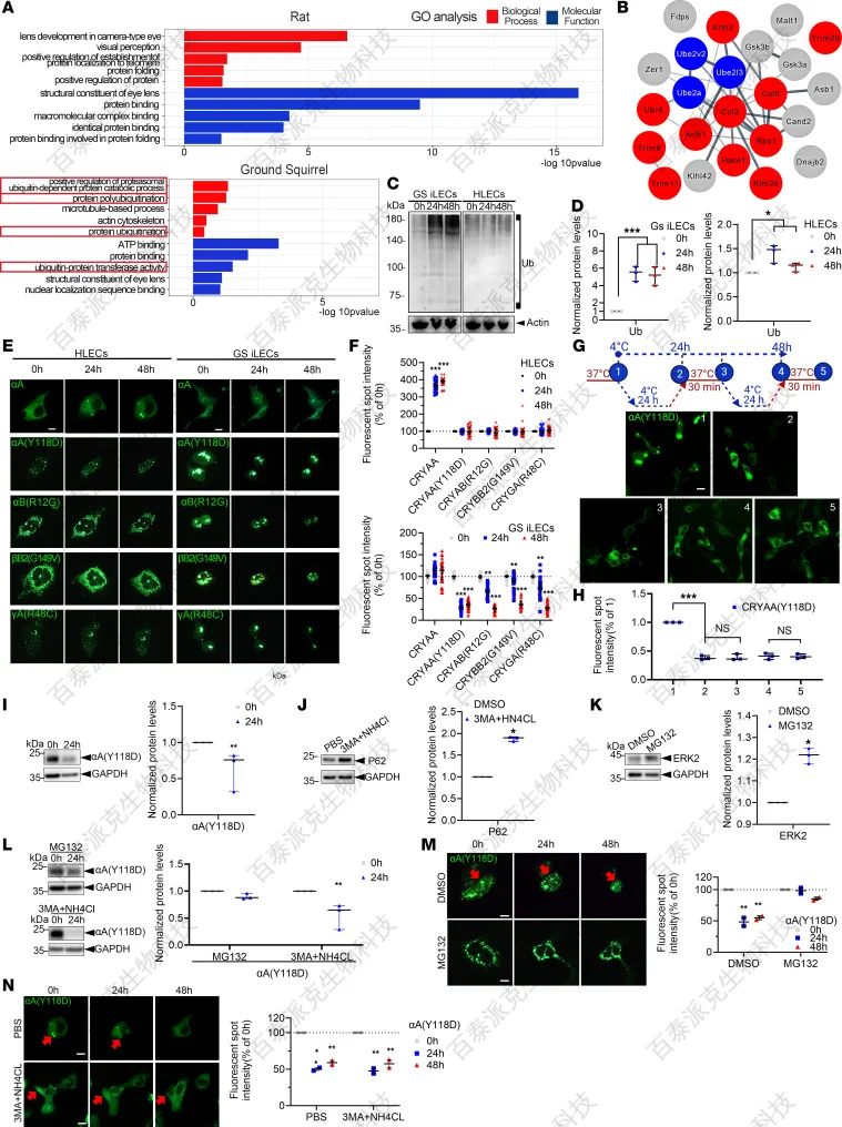 proteomics-service-gx1-3