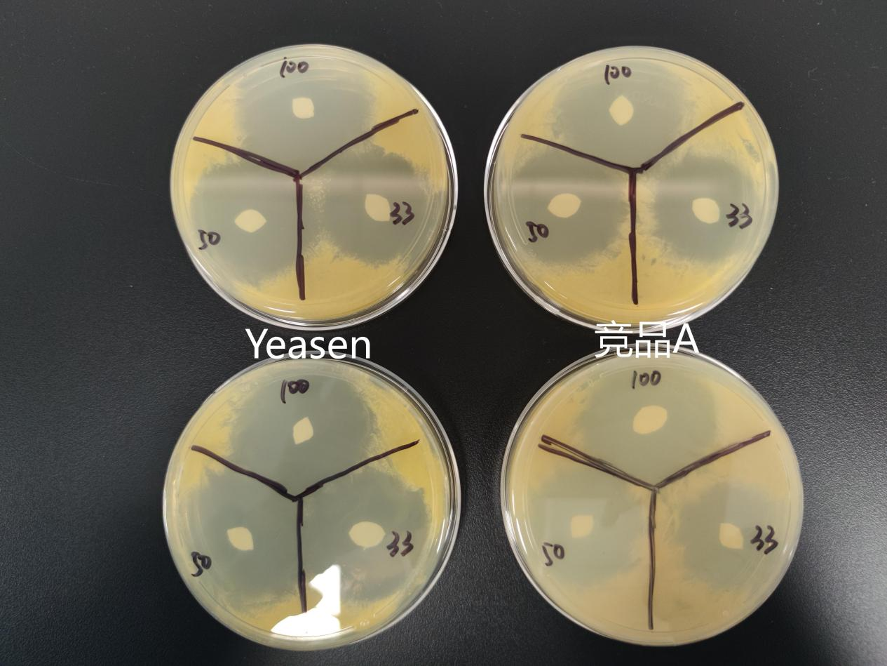 上新|原代细胞抗生素--原代细胞防污染的“私人定制”
