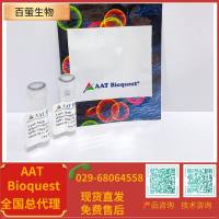 iFluor 555琥珀酰亚胺酯 货号71028