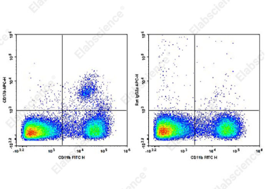Elabscience1月流式抗体上新，科研新里程开启！