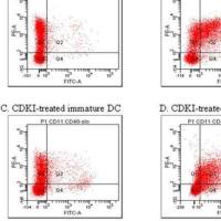 流式细胞仪检测