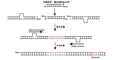 产品细节图片1