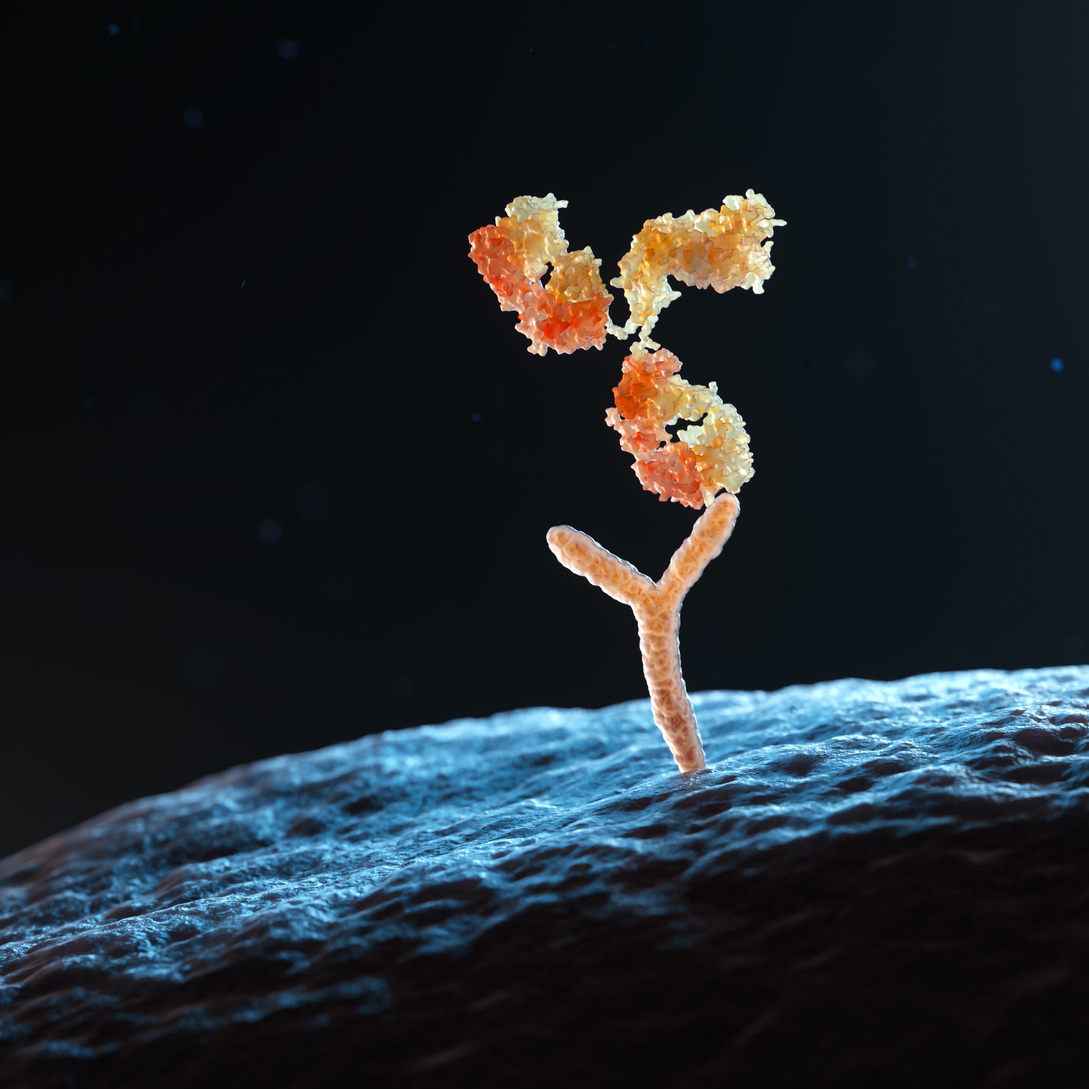 AbMap抗体表位解析平台