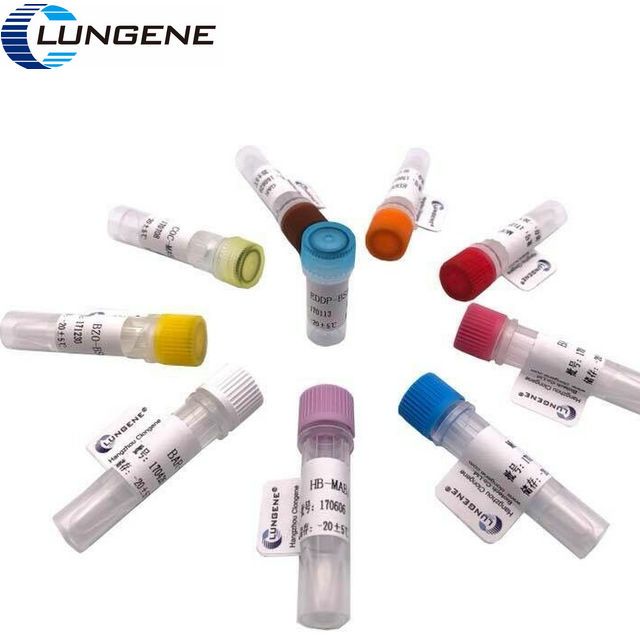 登革热病毒NS1单克隆抗体 Dengue NS1-Mab