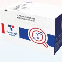 人类CYP2C19基因多态性检测试剂盒(荧光PCR法)