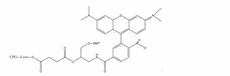 6-羧基四甲基罗丹明 CPG *1000 Å*,阿拉丁