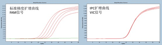 人类基因组DNA定量试剂盒，阿拉丁