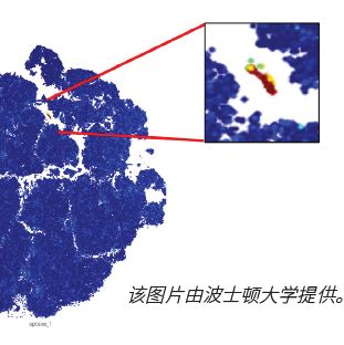 人广谱免疫检查点CyTOF panel试剂盒