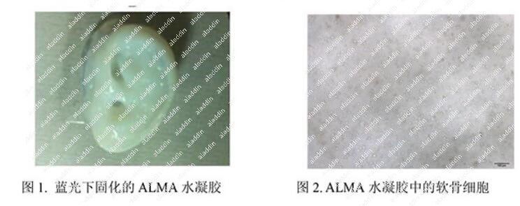 甲基丙烯酰化海藻酸钠(ALMA)，阿拉丁