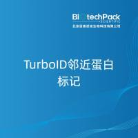 TurboID邻近蛋白标记
