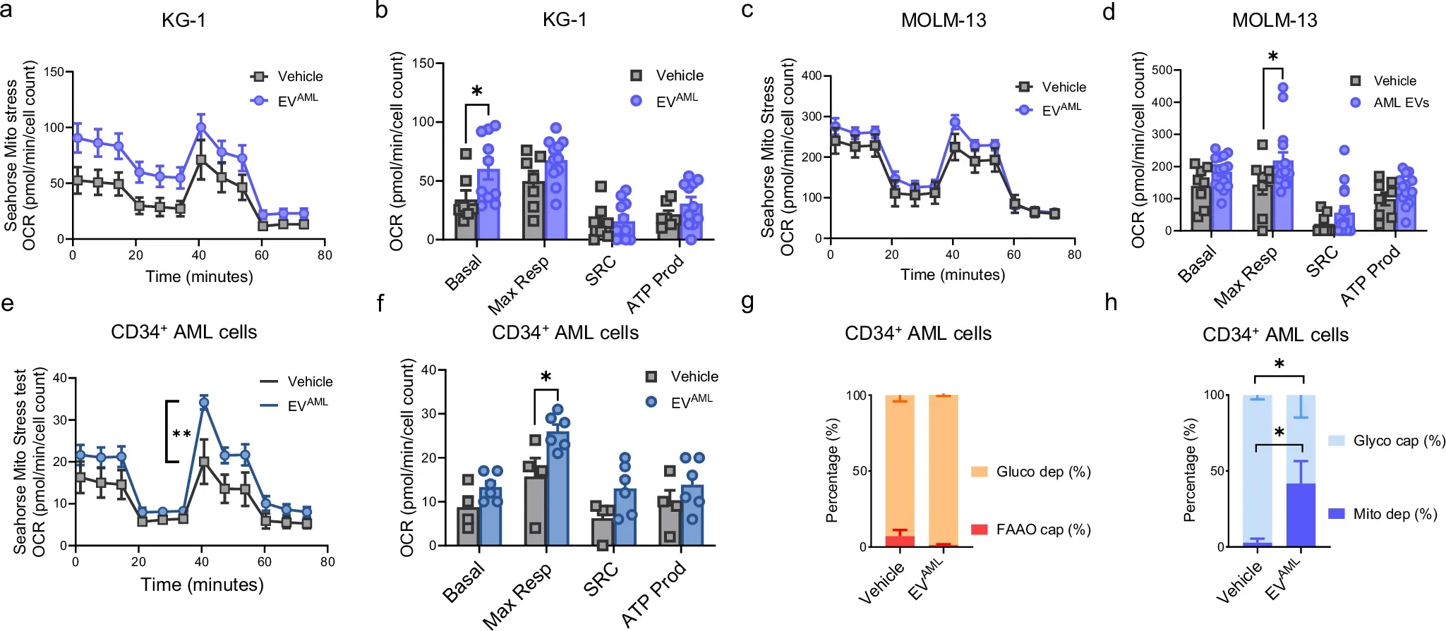 单细胞代谢分析 单细胞代谢分析