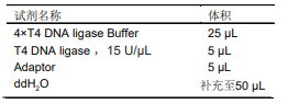 T4 DNA Ligase for NGS，阿拉丁