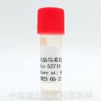 酵母单杂交菌株Y1HGold