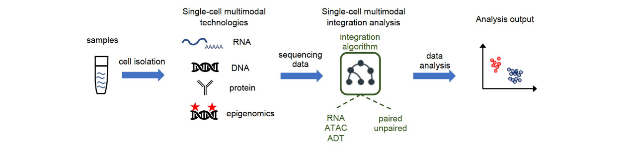 时空组学研究进展（六）｜单细胞多组学测序技术