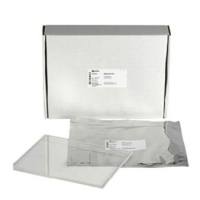 DIGE Gels LF24
