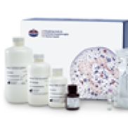 Maxpar Direct 一站式免疫分型系统，试剂盒