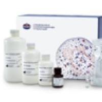 Maxpar Direct 一站式免疫分型系统，试剂盒