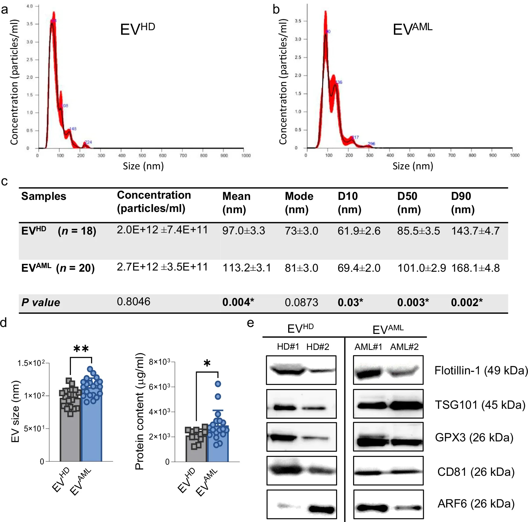 外泌体鉴定 外泌体鉴定