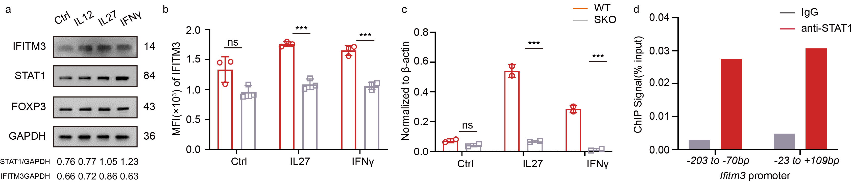 肿瘤浸润Treg细胞中负反馈环路调节免疫抑制功能的新机制