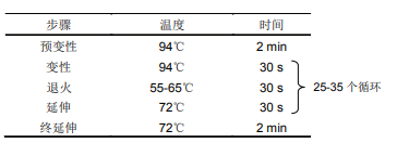 FastStar DNA Polymerase,Enzymo