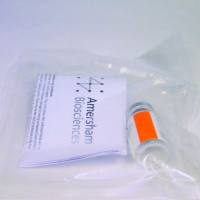 用于去除亲和标签的凝血酶蛋白酶